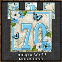 Vintage Birthday 70th Card Topper Kit 1306