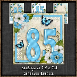 Vintage Birthday 85th Card Topper Kit 1306