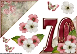 Add On for Vintage Easel 70th Birthday Card Kit 1178