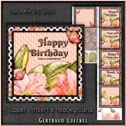 Card Kit 5 Toppers For Diffrent Occasions 1345