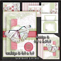Spring is coming Card Kit with envelope and a little box 1405