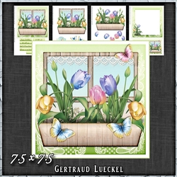 Flower Window Spring tulips Card Kit 1417