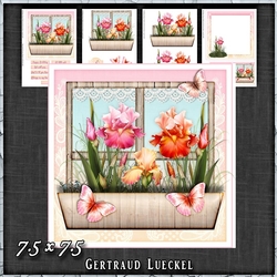 Flower Window Spring Iris Lillie Card Kit 1418