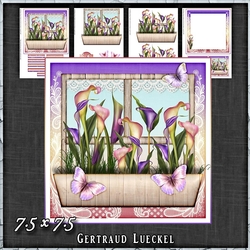 Flower Window Spring Callas Card Kit 1421