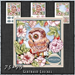Vintage Shabby Owl Hugs 1475