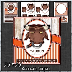 Zodiac Funny Taurus Card Kit 1491