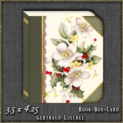 Christmas Book Money Giftcard Box 1518