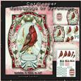 A Little Bird A5 Cardtopper with Inlet 153