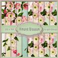 Almond Blossom A4 Pastel Backgroundpaper 118