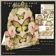 Over the Top Card with Facets Box Butterflies 178 Green