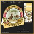 Ducks with Babies and Swans on the Sea 206