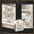 Dl Card with Butterflies 232