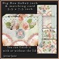 Big Pinchbox (bag) Soft Color Green Peach 102