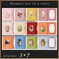 12 x Inserts Bumper Kit 2a