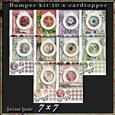 10 x Flowers in a Frame Bumperkit 4