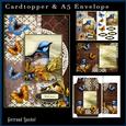 Cardtopper with Matching Envelope Colourful Bird 701