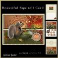 Beautiful Squirrell Card 861
