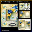 Cardtopper with Matching Envelope Spring 867