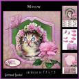 Cute Cat Cardtopper with Inlet 875