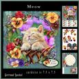 Cute Cat Cardtopper with Inlet 876