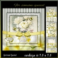 Vintage Flower Stripes and Butterflies 960
