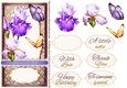 Iris and Butterflies purple 964