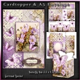 Cardtopper with matching envelope and box 1073