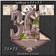 Vintage Easel 30th Birthday Card Kit 1177