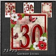 Vintage Birthday 30th Card Topper Kit 1186