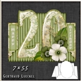 Vintage 20th Birthday Stepper Card Kit 1220
