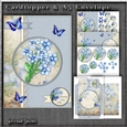 Vintage Blue Card With Lace Flowers and Butterflies 1246