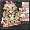 Over The Top Card and Facets Box Butterflies and Flowers 1268