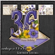 Vintage Easel 36th Birthday Card Kit 1179