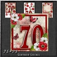 Vintage Birthday 70th Card Topper Kit 1186