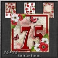 Vintage Birthday 75th Card Topper Kit 1186