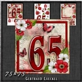 Vintage Birthday 65th Card Topper Kit 1186