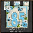 Vintage Birthday 85th Card Topper Kit 1306