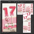 Vintage DL 17th pink Birthday Topper Cardkit 1294