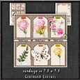 So Many Tags Card Kit 1349
