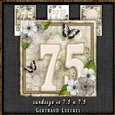Vintage Birthday 75th Card Topper Kit 1306