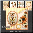 Vintage Shabby Flower Card Kit Orange 1442