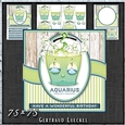 Zodiac Funny Aquarius Card Kit 1491