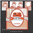 Zodiac Funny Cancer Card Kit 1491