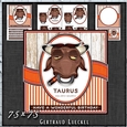 Zodiac Funny Taurus Card Kit 1491