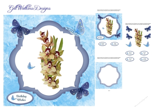 Orchid Birthday 3