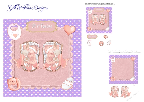 New Baby Twin Girls 1