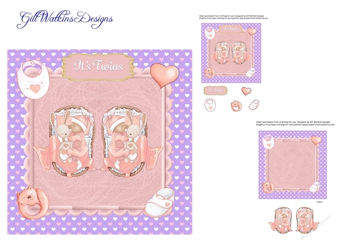 New Baby Twin Girls 2