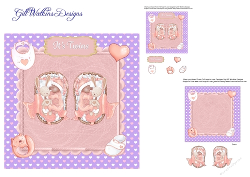 New Baby Twin Girls 3