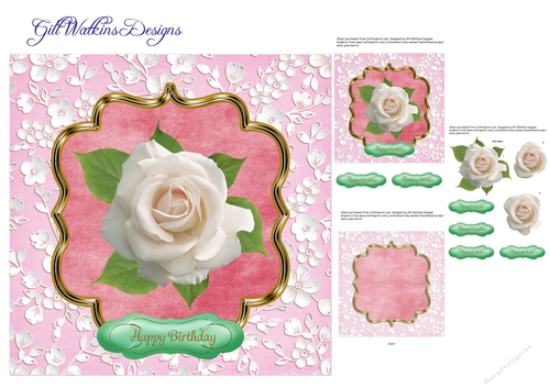 White Rose Birthday Pink