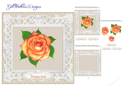 Orange Rose Thank You Cream